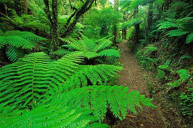 《滑板4》未来将在PS5和Xbox Series X|S上测试